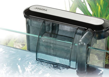 filtro água aquario