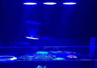 iluminação de aquário